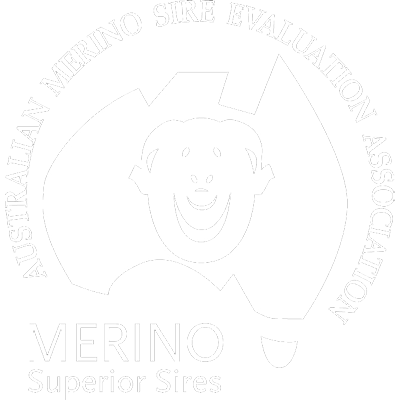 Australian Merino Sire Evaluation Association | Merino Superior Sires