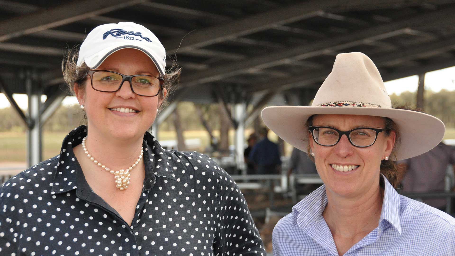 MerinoLink - Friendly Faces at the Field Day | Merino Superior Sires